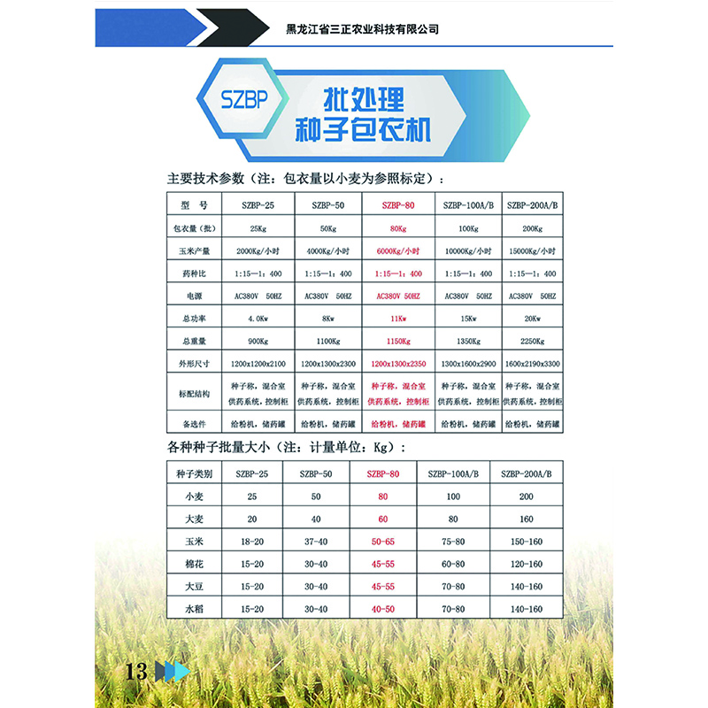 彩頁13 彩頁13