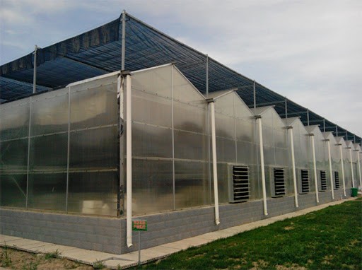 陽光板溫室大棚有什么優點？