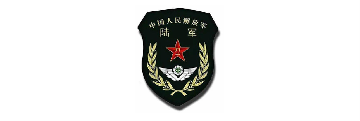 中国人民解放军 陆军