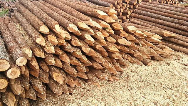 景观木桩供应