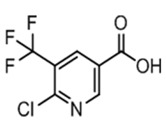 6-chloro-5-(trifluoromethyl)nicotinic acid   2-氯-3-三氟甲基吡啶-5-甲酸