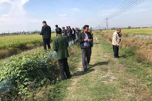 淮南怎样种植水稻才比较好