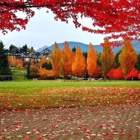 URAP發布2020世界大學學術質量排名
     