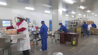 600万片邛崃造磷酸氯喹即将投放抗疫一线