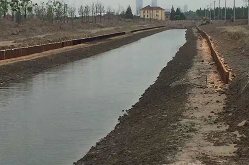 河道木桩