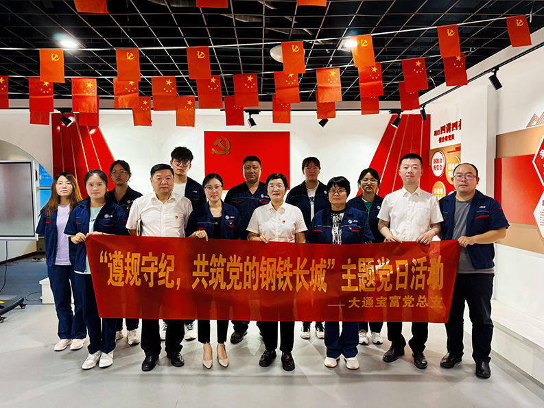 “遵纪守法，共筑党的钢铁长城”——大通宝富党总支主题党日活动