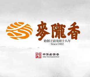 常见的logo设计风格介绍