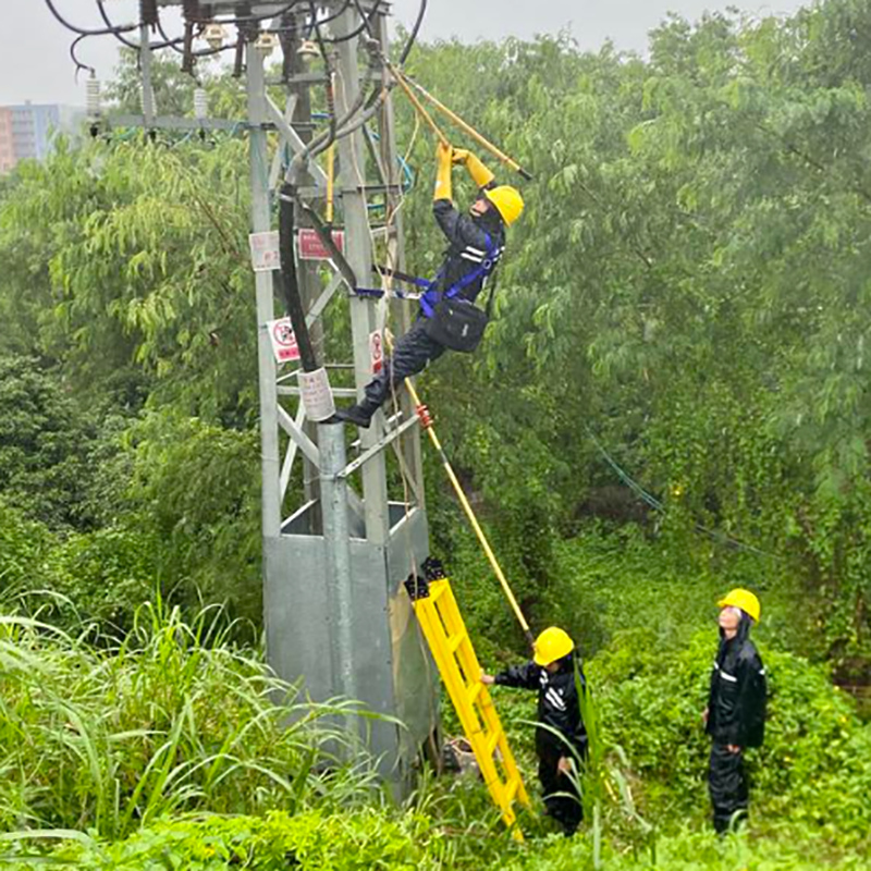 架空線路智能綜合監測裝置實現全自動線路巡檢