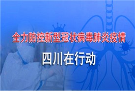 抗击新型肺炎 四川侨界在行动