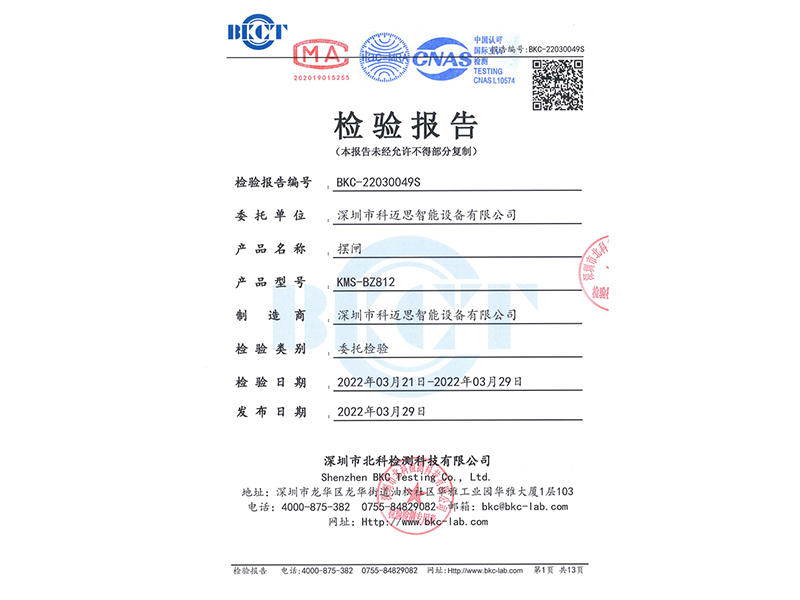 摆闸检测报告