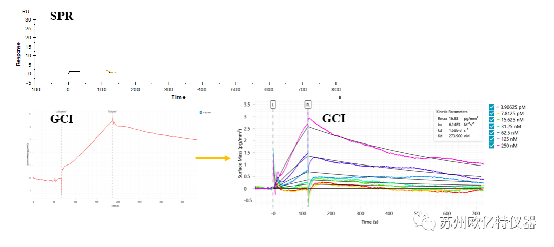 GCI,SPR,BLI動力學檢測真實案例分享