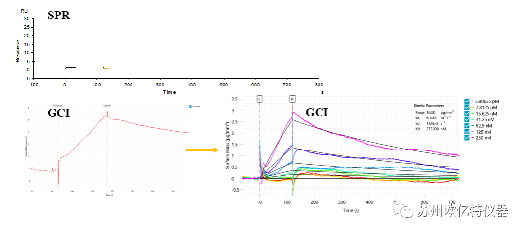 GCI,SPR,BLI动力学检测真实案例分享