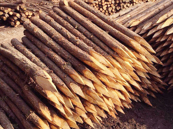浅析影响杉木桩打桩质量的因素