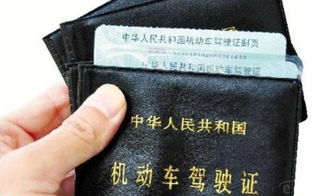 石家莊駕校哪家好