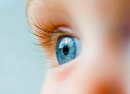 干细胞技术眼科疾病