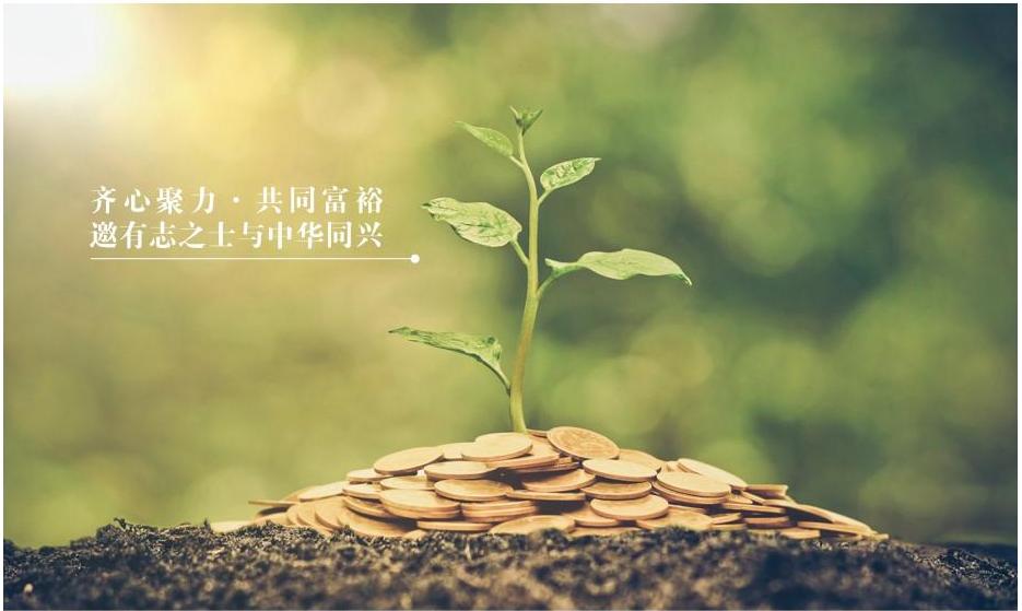 企业文化