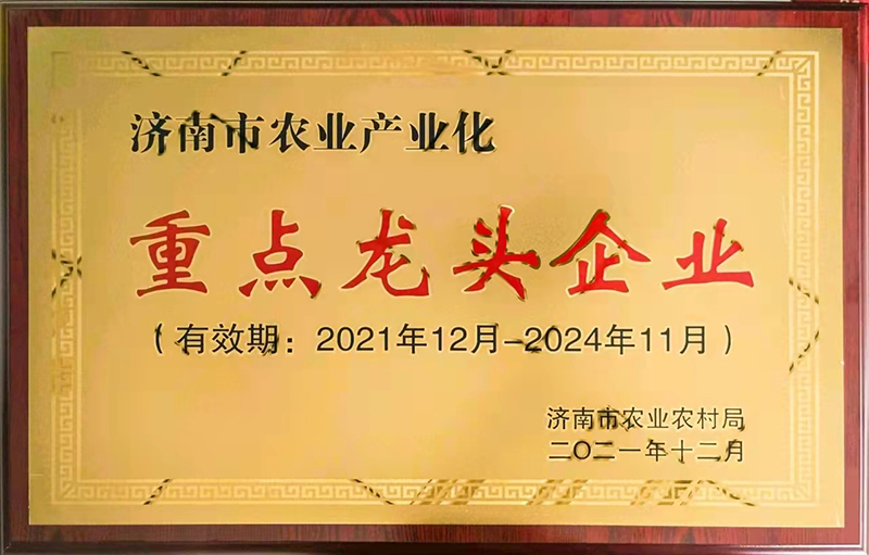 重點龍頭企業