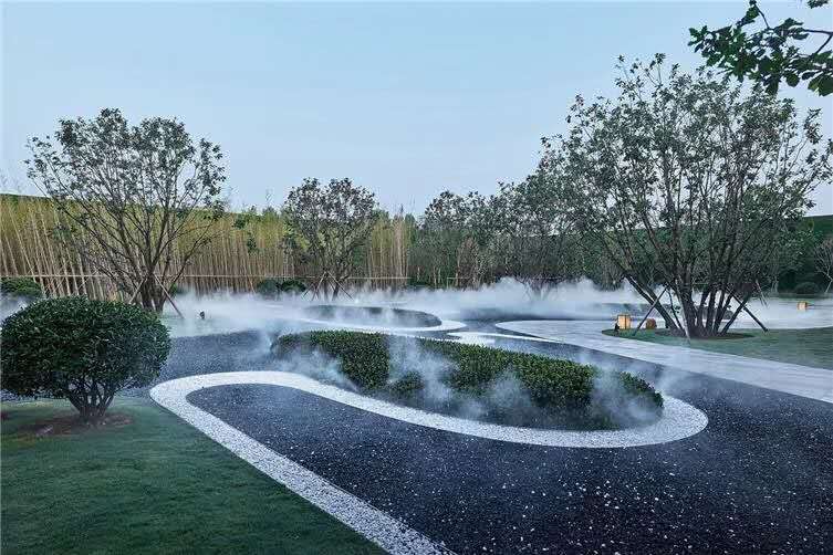 時(shí)令植保丨夏季園林苗木養(yǎng)護(hù)的7個(gè)技術(shù)要點(diǎn)