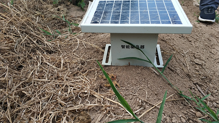 果園輸電線路驅除鳥類的有效方法，智能綜合驅鳥器?