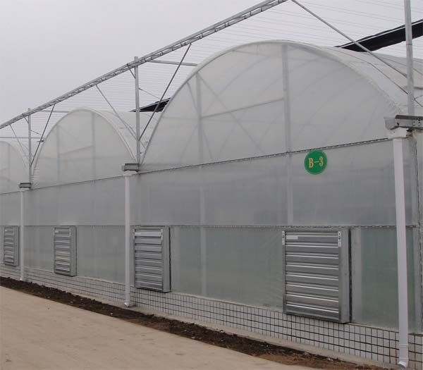 蔬菜種植大棚降低棚內濕度及溫度的方法以及途徑有哪些呢
