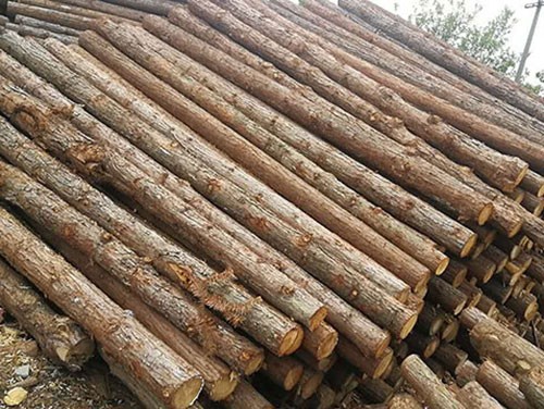 徐州杉木桩施工遇到松软土质怎么办