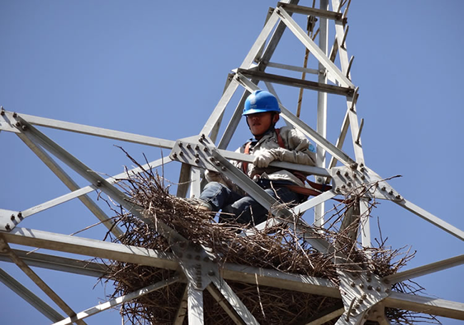 解放雙手，不在為鳥兒搬家！輸電線路驅鳥器驅鳥設備