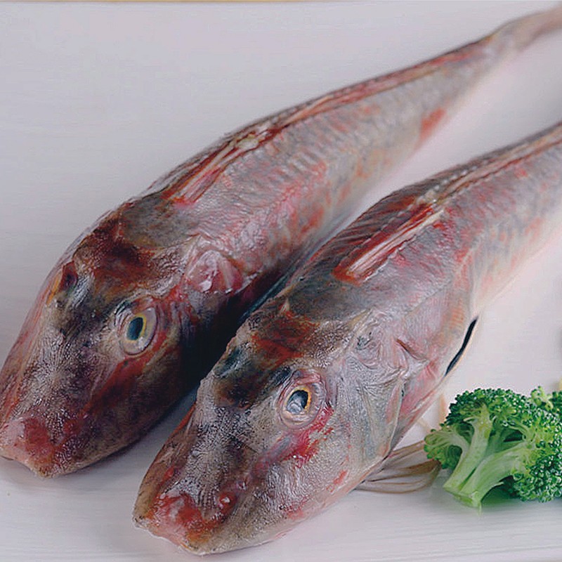 整條紅娘魚
