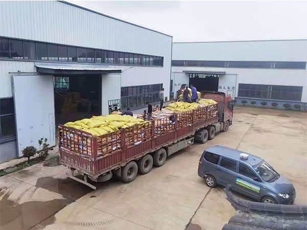 温州生物肥可以在雨天施肥吗