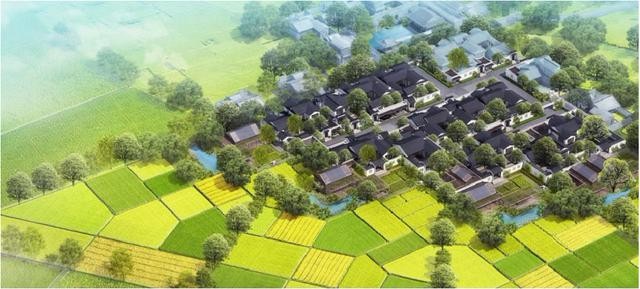 成都市郫都区城市机会清单发布