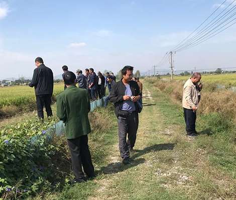 淮南农民对地方品种水稻种植文化的理解