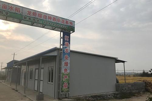 生態(tài)龍蝦養(yǎng)殖怎么挑選蝦苗