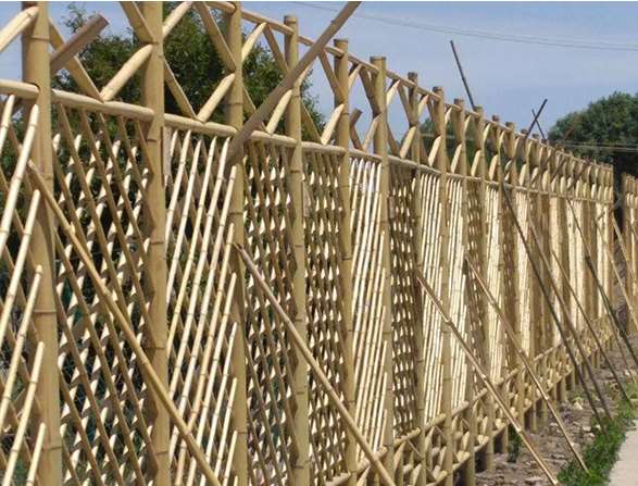 竹篱笆的维护与拆除方法说明