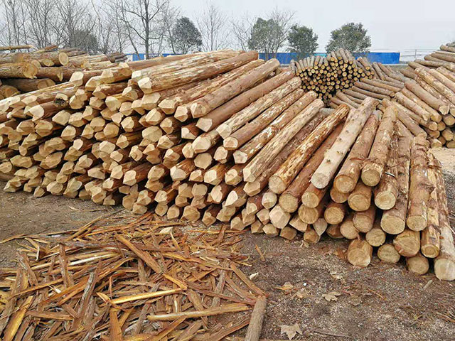 2017年以来俄罗斯向中国出口木材总额增加20%