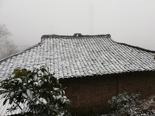 蒲江的雪，上千万人蜗居成都体会不到的美！