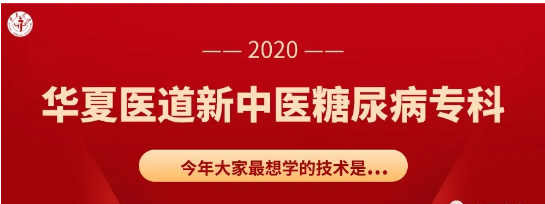 中华医道新中医糖尿病患者高研班有哪些特点？