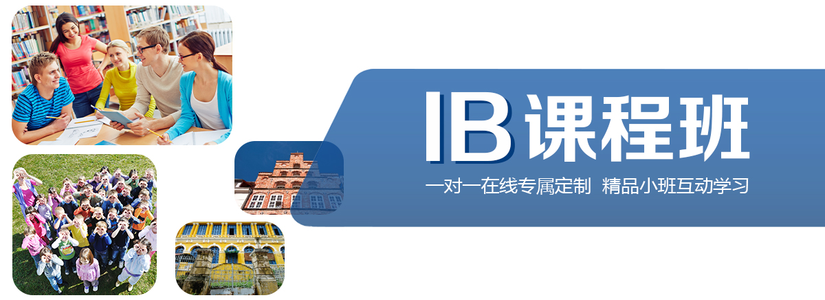 IB课程班 一对一在线专属定制  精品小班互动学习