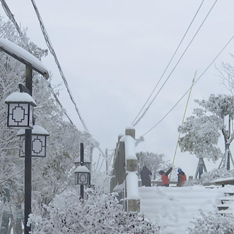 科學(xué)防冰抗冰：輸電線路“覆冰精靈”智能巡視助力快速復(fù)電