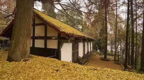 都江堰行记