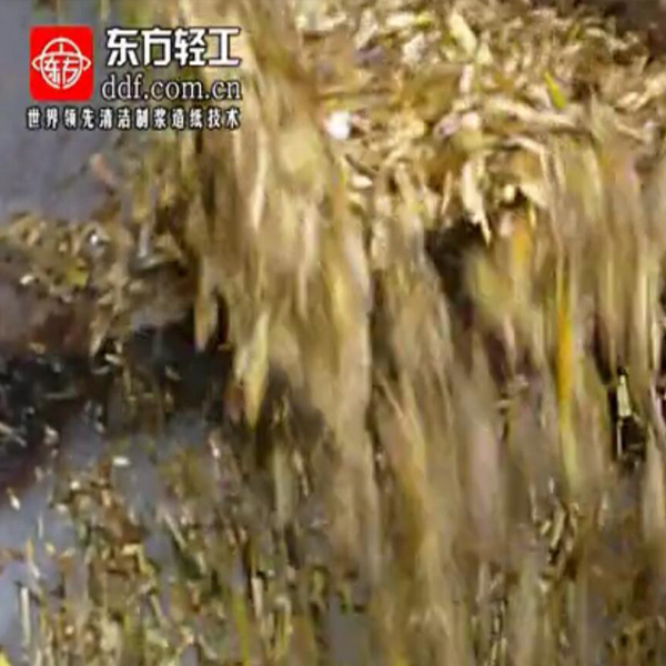 玉米秆综合利用零排放清洁制浆造纸视频高清