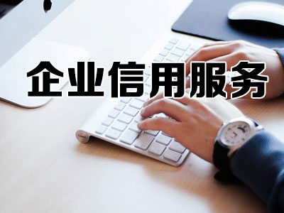 企业信用服务