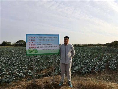 高效水溶肥生產流程介紹