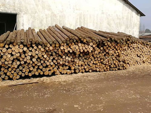 徐州木桩供应