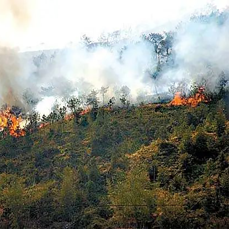 Forest firefighting high-pressure extinguishing pumps: guarding green homes, building security barriers together