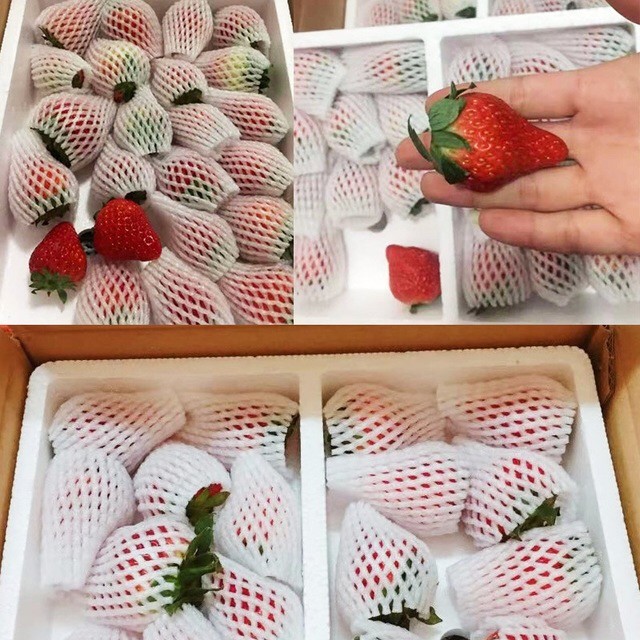 水果泡沫箱