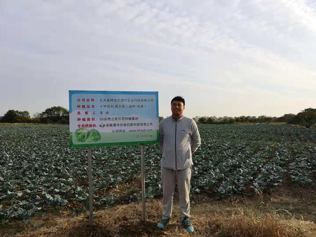 浙江65亩西兰花示范种植基地