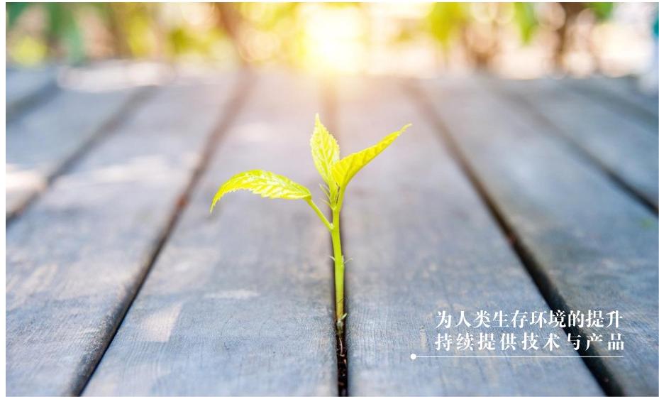 企业文化