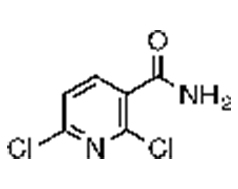 2,6-dichloronicotinamide
