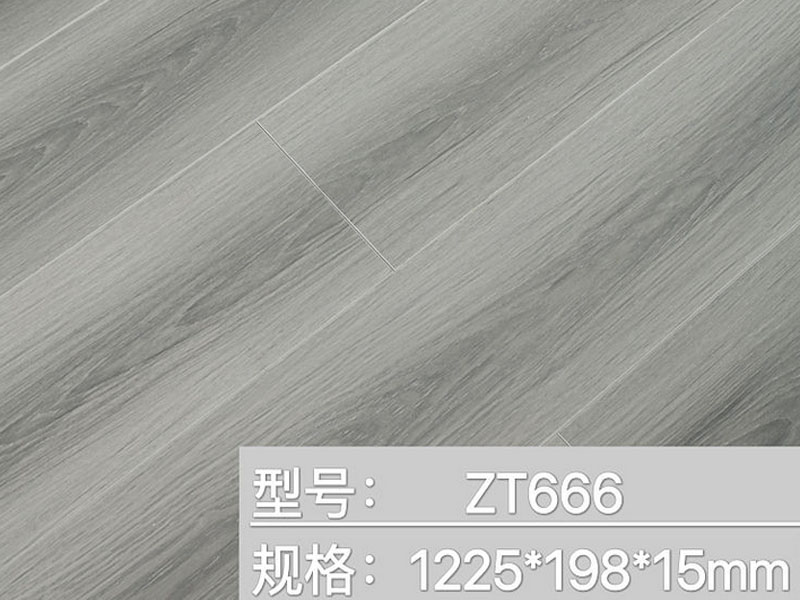 ZT-666木地板