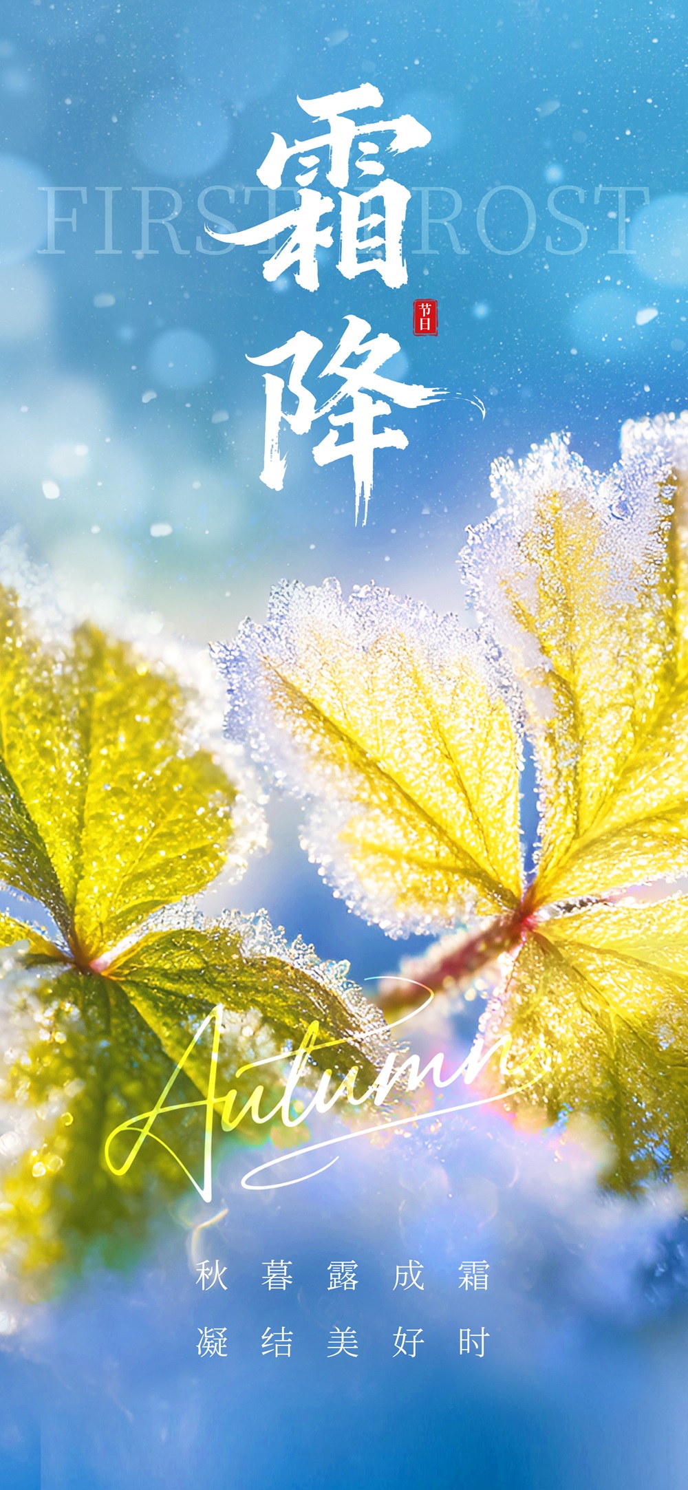 霜降来临，秋意更浓，愿你的生活如这秋色般丰富多彩