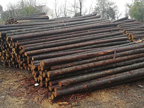 生態木樁批發